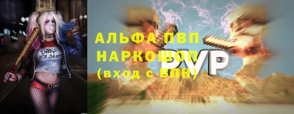 гидра Абаза