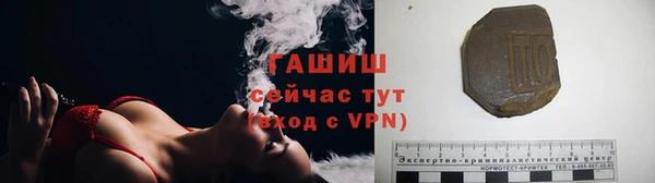 гидра Абаза