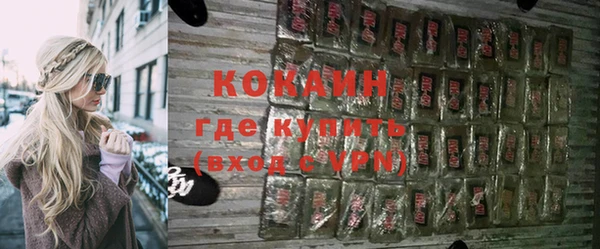 гидра Абаза